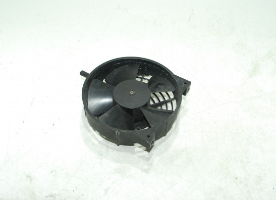 Fan Aprilia RSV 1000