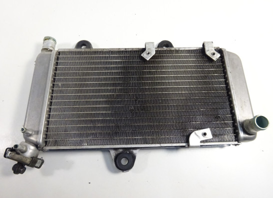 Kuhler Yamaha XTX 660