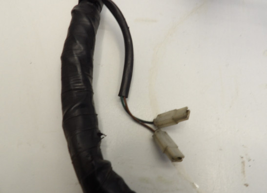 Kabelboom Honda CBR 600 F