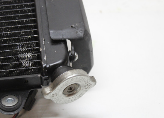 Radiator Yamaha MT 03