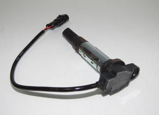 Bobine Moto Guzzi V 100 Mandello