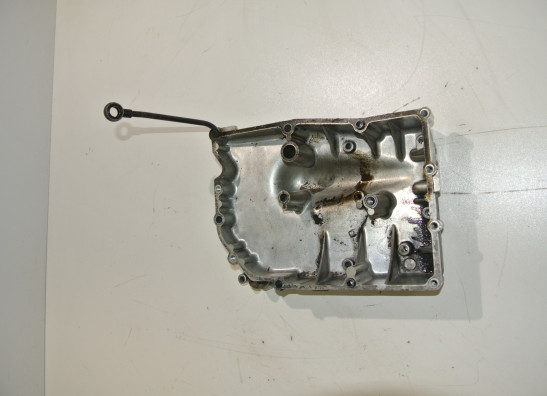 Carterpan Yamaha TDM