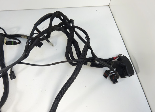 Kabelboom BMW F 650 GS