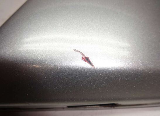 Linker zijkuip klein Kawasaki Z 250