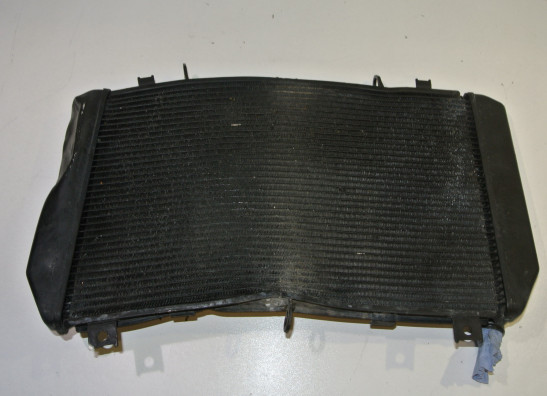 Radiateur Kawasaki Z 750