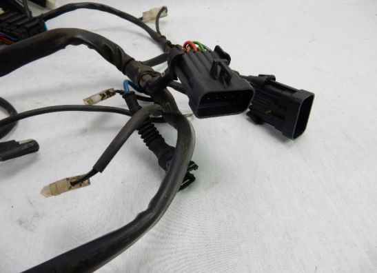 Kabelboom Moto Guzzi Nevada 750