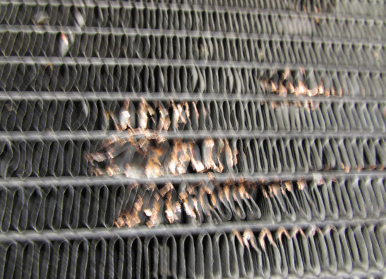 Radiator Honda Goldwing GL