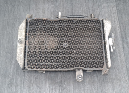 Radiateur Suzuki Burgman 650
