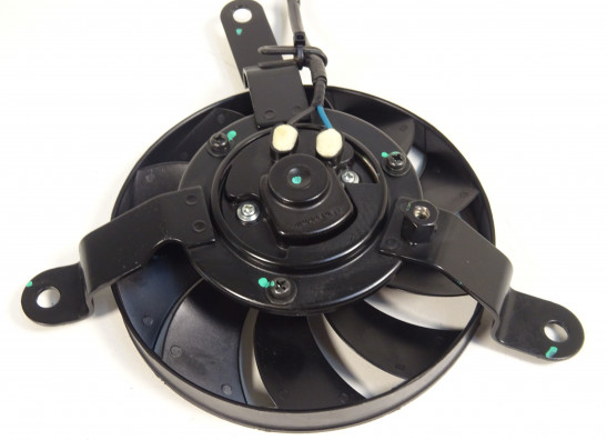 Fan Ducati Monster 821