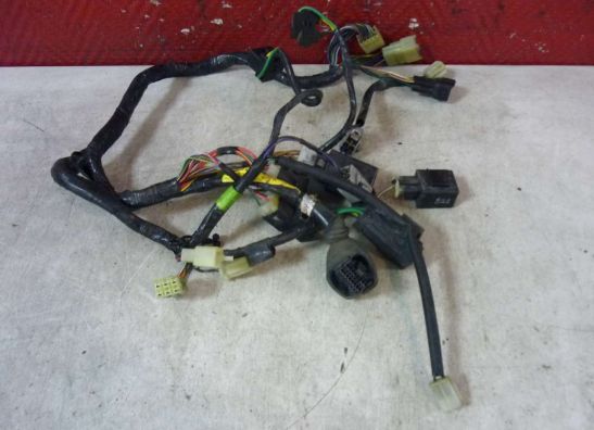 Kabelboom voor Yamaha FJR 1300