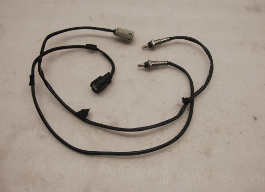 Lambda sensor Harley Davidson Softtail