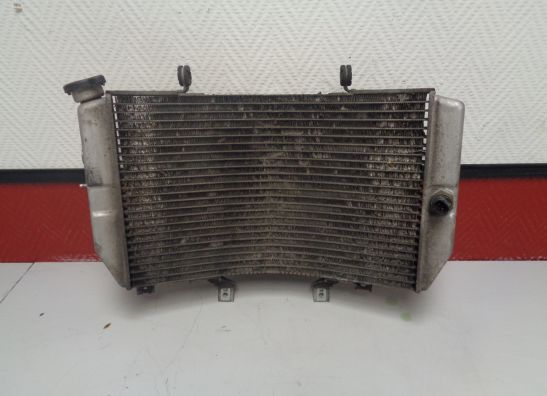 Radiator Suzuki GSX R 1000