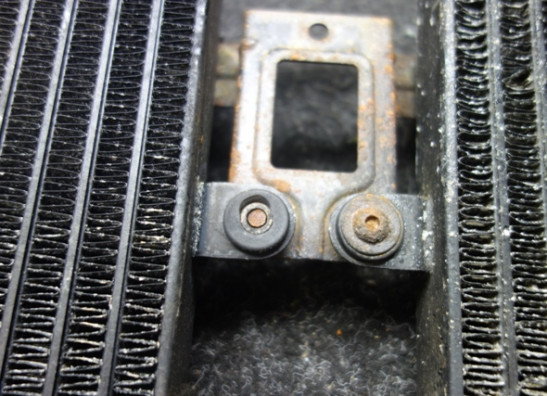 Oliekoeler Aprilia RSV 1000