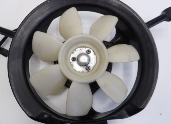 Fan Yamaha V max