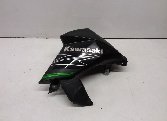 Cowl left small Kawasaki Z 800