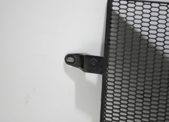 Radiator parts BMW K 1200 R 