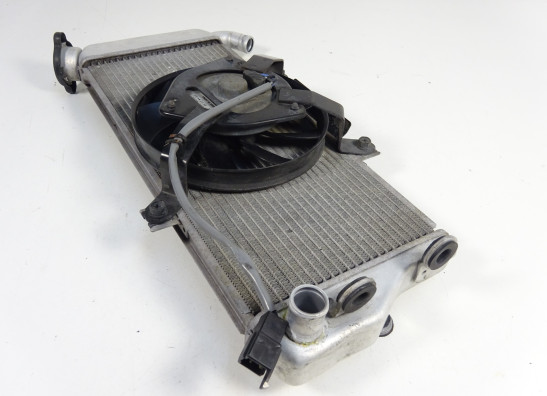 Kuhler Kawasaki ER 6