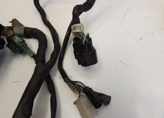 Kabelboom Suzuki SV 650