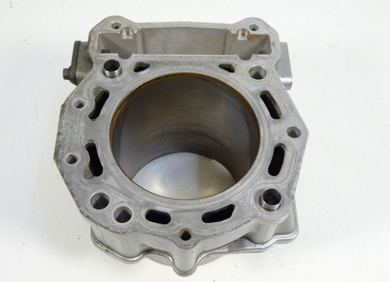 Zylinder Aprilia Dorsoduro 750