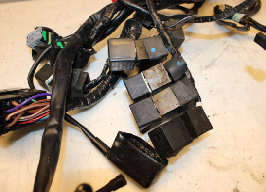 Wire Harness Triumph Sprint RS