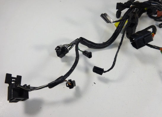 Kabelbaum Suzuki SFV 650 Gladius