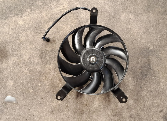 Fan Kawasaki Z 900