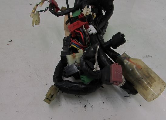 Kabelbaum Honda CBR 600 F