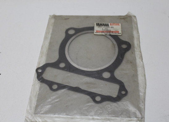 Dichtung Yamaha XT 500