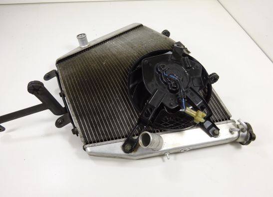 Radiator Suzuki GSX R 1000