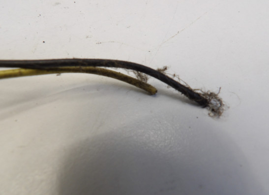 Impulsgeber Kawasaki GPZ 500