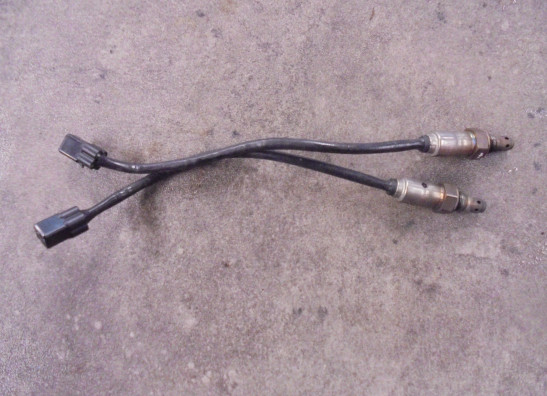 Lambda sensor Triumph Thruxton TFC