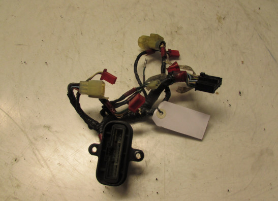 Kabelbaum vorne Honda Goldwing GL