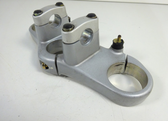 Kroonplaat Ducati monster 600