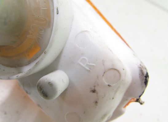 Blinker Kawasaki ZZR 600