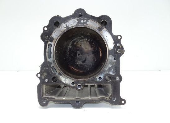 Cilinderblok BMW F 650 GS