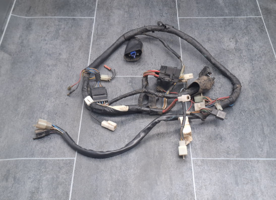 Kabelboom Honda CBR 600 F