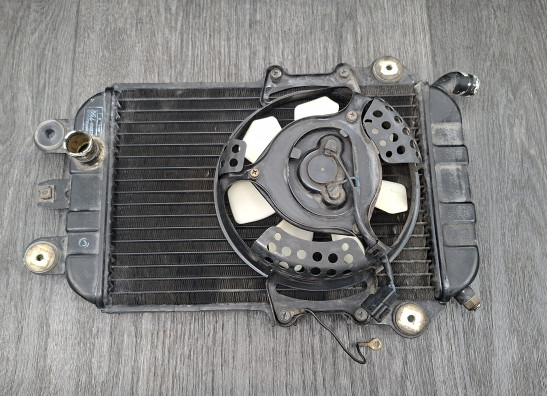 Radiator Kawasaki VN 700  750