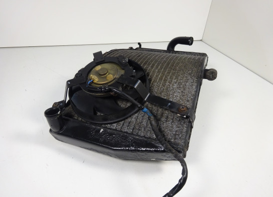 Radiator Honda CBR 600 RR