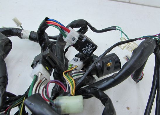 Kabelbaum Kymco XCITING 500I