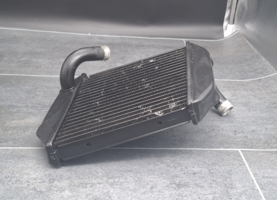 Radiateur Buell 1125 R