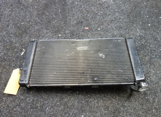 Kuhler Honda NT 1100 DCT