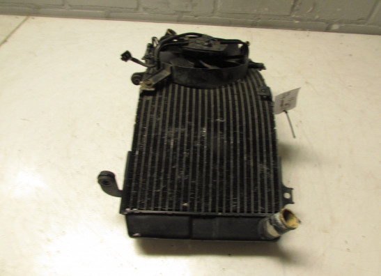 Radiateur Suzuki GSX R 600