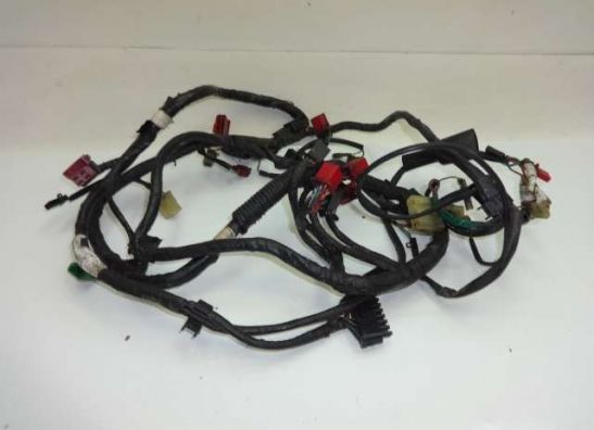 Wire Harness Honda CBR 1000 F
