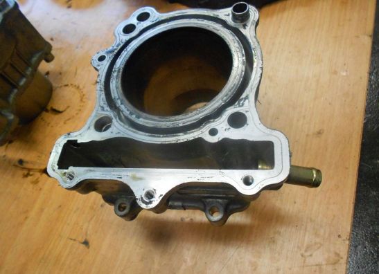 Cilinderblok Suzuki SV 650