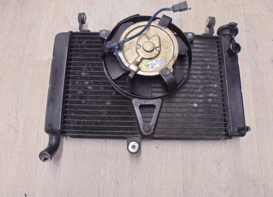 Radiateur Yamaha YZF 600 Thundercat