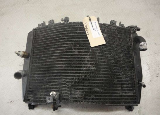 Radiateur Kawasaki ZX 9 R