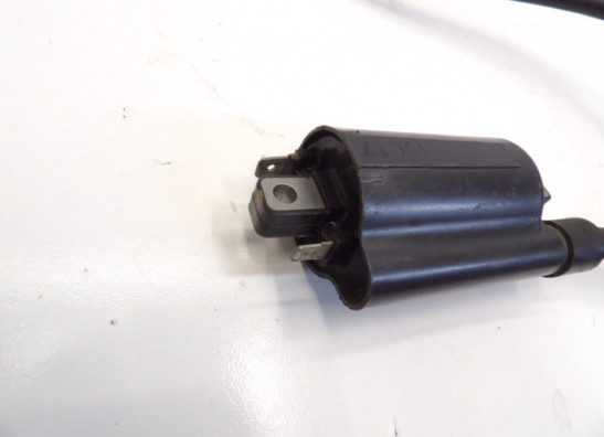 Bobine Aprilia RSV 1000