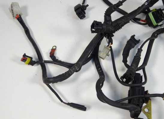 Kabelboom Ducati ST4