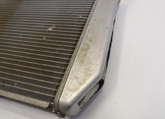 Radiator Kawasaki Z 1000 Sx