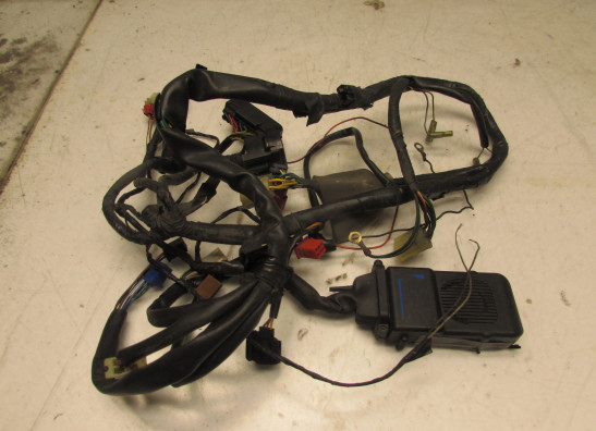 Wire Harness Honda CB 600 F
